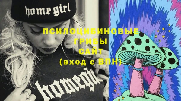 таблы Новодвинск