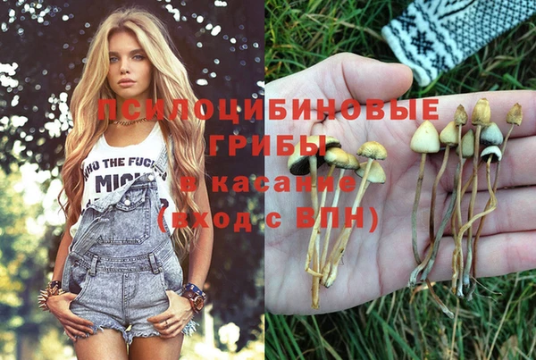 альфа пвп VHQ Новозыбков