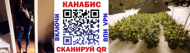 Бошки Шишки гибрид  Славянск-на-Кубани 
